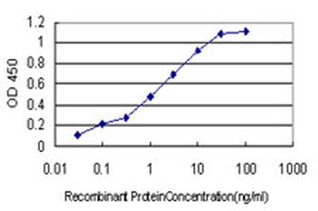 ANXA5 monoclonal antibody (M01), clone 1F4-1A5
