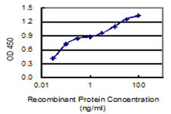 AMPD2 monoclonal antibody (M01), clone 2F5