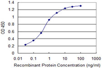 AMELX monoclonal antibody (M03), clone 3B5