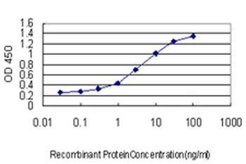 ALAS1 monoclonal antibody (M01), clone 3G10