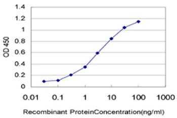 AHR monoclonal antibody (M02), clone 3B12