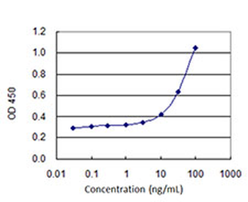 AGER monoclonal antibody (M02J), clone 1C1