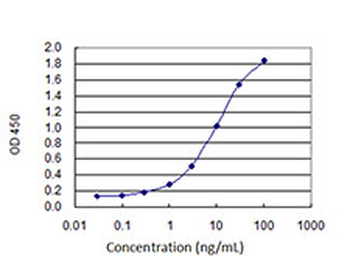 AGER monoclonal antibody (M02J), clone 1C1