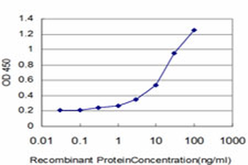 AGER monoclonal antibody (M02), clone 1C1