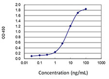 AP2B1 monoclonal antibody (M01J), clone 2D5