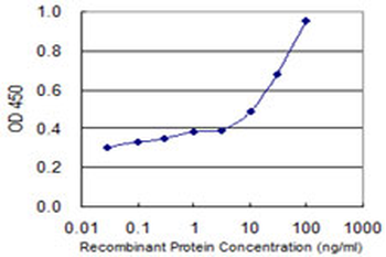 ADPRH monoclonal antibody (M04), clone 1F11