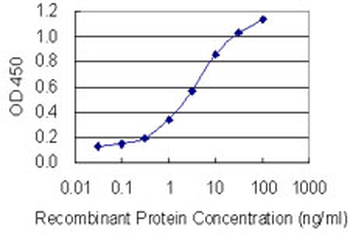 ADH5 monoclonal antibody (M12), clone 2D11
