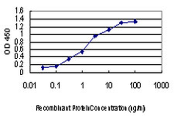 ACVR1B monoclonal antibody (M08), clone 6G11