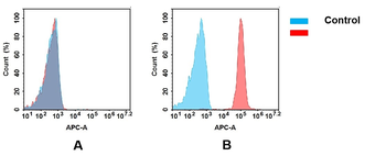 Anti-CD47(lemzoparlimab biosimilar) mAb