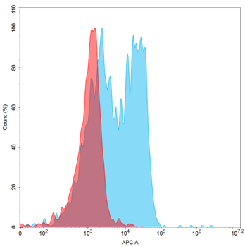 DLL3 Biosimilar Antibody