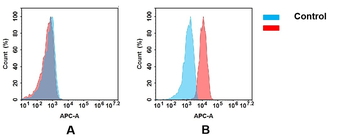Anti-ADAM9 (biosimilar) mAb