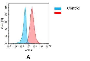 Anti-CSF1R(cabiralizumab biosimilar) mAb
