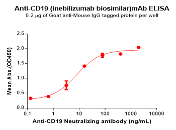 Anti-CD19 (inebilizumab biosimilar)mAb