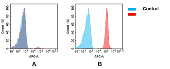Anti-CD47 (magrolimab biosimilar;IgG1) mAb
