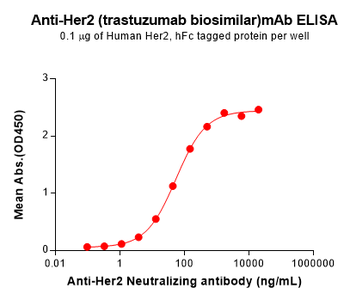 Anti-Her2 (trastuzumab biosimilar) mAb