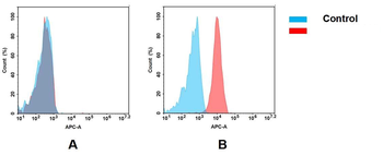 Anti-Her2 (trastuzumab biosimilar) mAb
