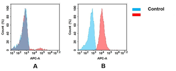 Anti-CD37 (naratuximab biosimilar) mAb
