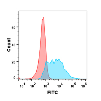 Anti-BAFF (belimumab biosimilar) mAb