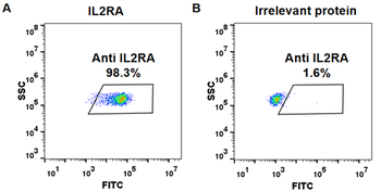 Anti-IL2RA (basiliximab biosimilar) mAb