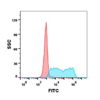 Anti-4-1BB (utomilumab biosimilar) mAb