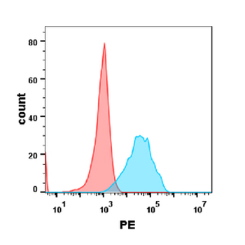 Anti-CEACAM5 (labetuzumab biosimilar) mAb