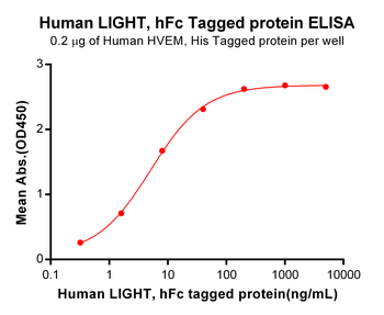 Human GPR75 Protein, hFc Tag