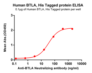 Human MMP13 Protein, His Tag