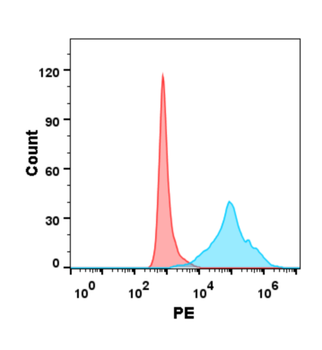 Human MMP13 Protein, His Tag
