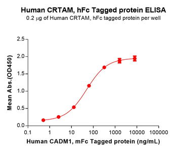 Mouse RNASE4 Protein, hFc Tag