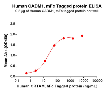 Mouse LAMA4 Protein, His Tag