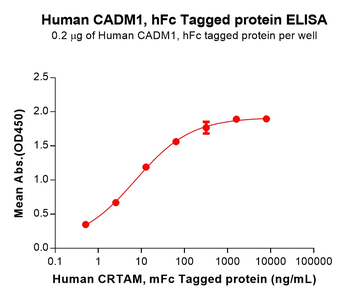 Mouse TENM4 Protein, His Tag