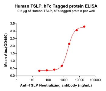 Human CCR7 Protein, hFc Tag