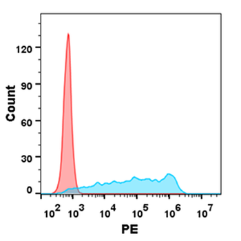 Human NCL Protein, His Tag