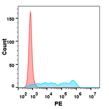 Human RNASE4 Protein, His Tag