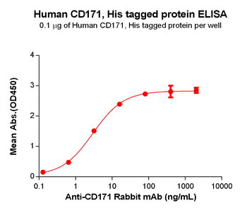 Human FOLR2 Protein, His Tag