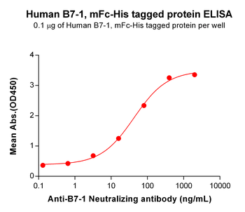 Human KRAS Protein, His Tag