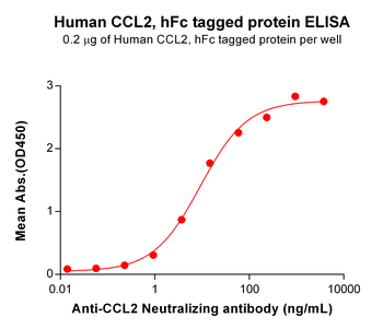 Human YAP1 Protein, His Tag