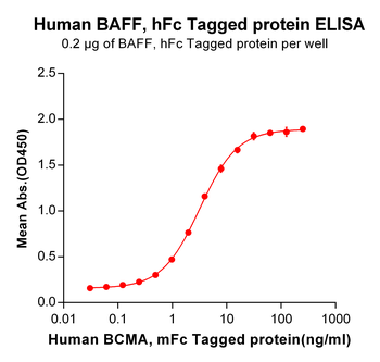 Human ADAM9 Protein, hFc Tag