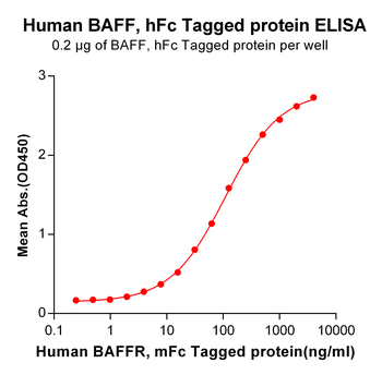 Human ADAM9 Protein, hFc Tag