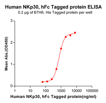 Human CCR4 Protein, hFc Tag