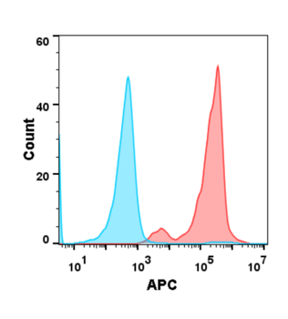 PSCA Antibody