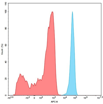 B7-H3 Antibody