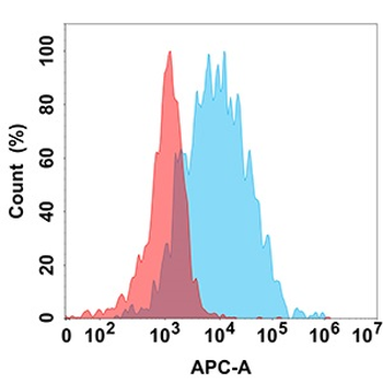 CD45 Antibody