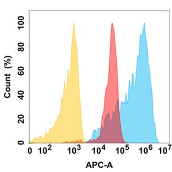 BCL2L1 Antibody