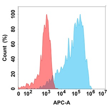 B7-H4 Antibody