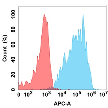 IL2 Antibody