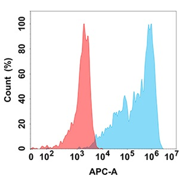 IL13RA1 Antibody