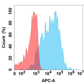 BAFF Antibody