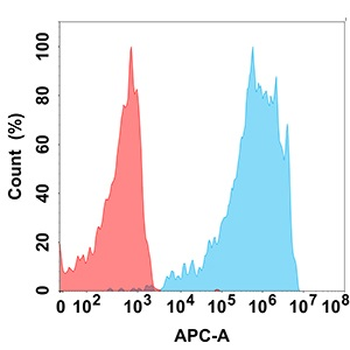 PD-1 Antibody