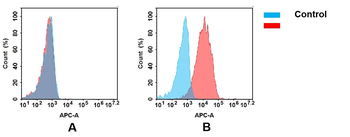 Anti-CD114 antibody(DM172); Rabbit mAb